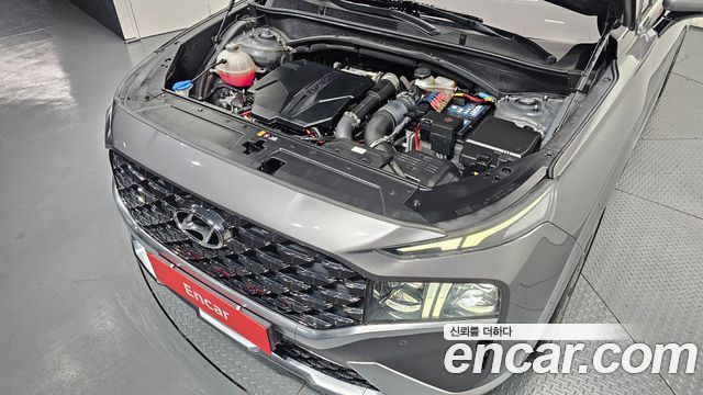 Hyundai Santa Fe Gasoline 2.5T 2WD Calligraphy 2021 — фото 6