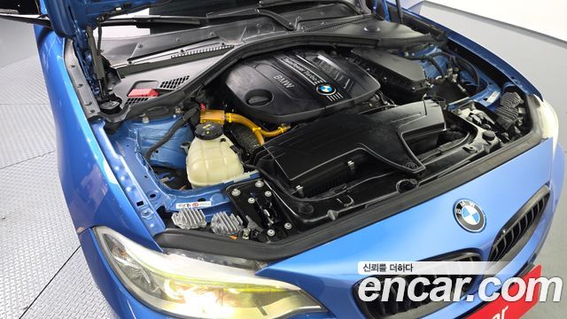 BMW 2 Series (F22) 220d M Sport Coupe 2014 — фото 6
