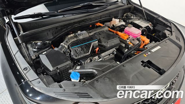 Kia Sorento (IV) HEV 1.6 2WD Noblesse 2022 — фото 6