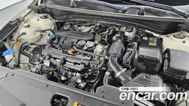 Kia Sportage (V) Gasoline 1.6 Turbo 2WD Nobleless 2022 — фото 6