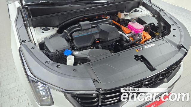 Kia Sorento (IV) HEV 1.6 2WD Gravity 2024 — фото 6