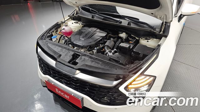 Kia Sportage (V) Diesel 2.0 2WD Nobleless 2022 — фото 6