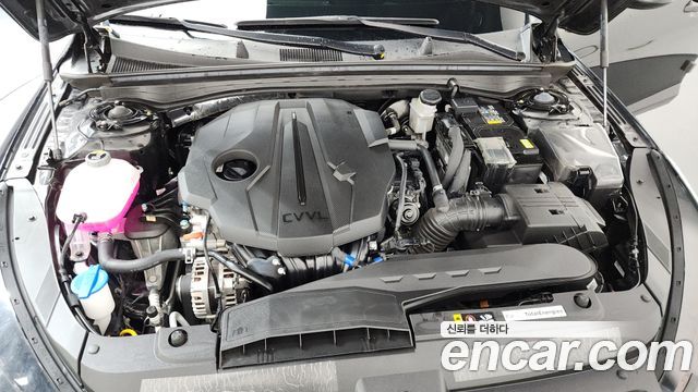 Kia K5 (III) 2.0 Prestige 2025 — фото 6