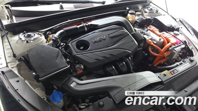 Kia K5 Hybrid (III) Noblesse 2025 — фото 6
