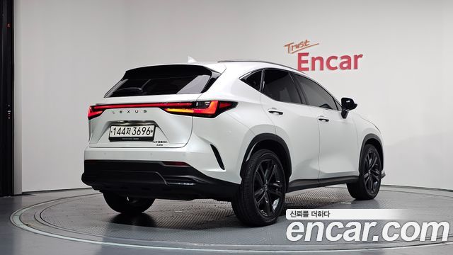 Lexus NX350h (II) Premium 2023 — фото 2