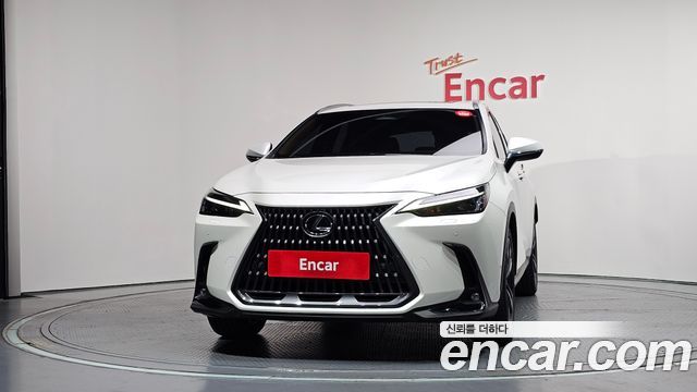 Lexus NX350h (II) Premium 2023 — фото 3