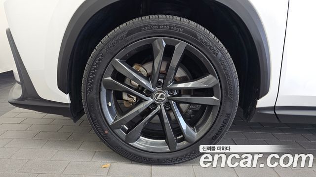 Lexus NX350h (II) Premium 2023 — фото 5