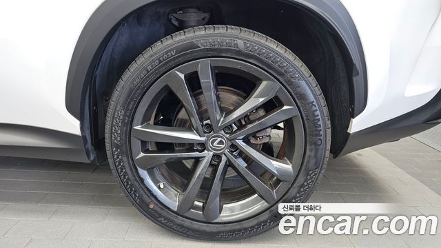 Lexus NX350h (II) Premium 2023 — фото 21