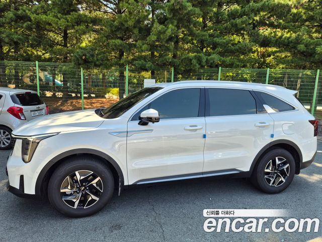 Kia Sorento (IV) HEV 1.6 2WD Noblesse 2026 — фото 5