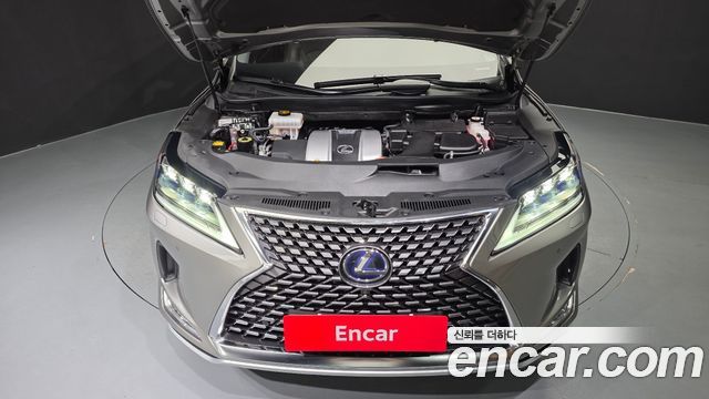 Lexus RX450h (IV) Executive 2021 — фото 6