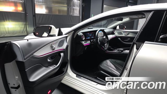 Mercedes-Benz CLS-Class (C257) CLS400d 4MATIC 2019 — фото 10