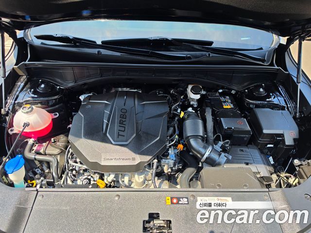 Kia Sorento (IV) Diesel 2.2 4WD Noblesse 2024 — фото 6
