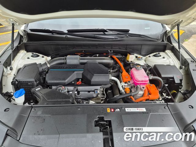 Kia Sorento (IV) HEV 1.6 2WD Prestige 2024 — фото 6