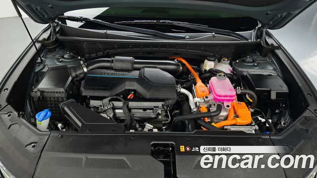 Hyundai Tucson Hybrid (NX4) Inspiration 2WD 2023 — фото 6
