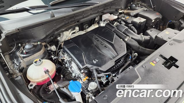 Hyundai Santa Fe (MX5) Gasoline 2.5T 4WD Calligraphy 2024 — фото 6