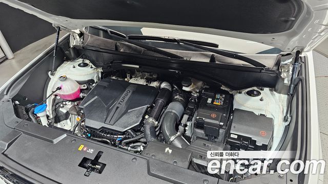 Hyundai Santa Fe (MX5) Gasoline 2.5T 4WD Calligraphy 2024 — фото 6