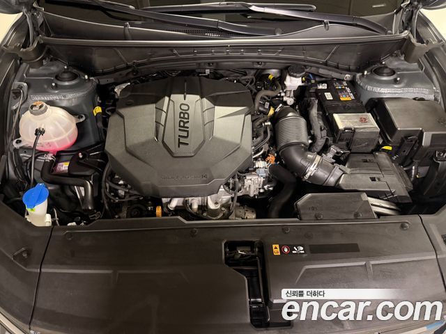 Hyundai Tucson (NX4) Diesel 2.0 2WD Inspiration 2023 — фото 23