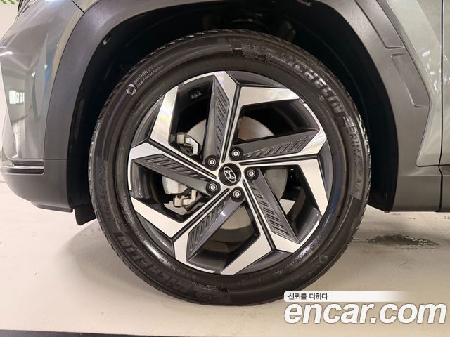 Hyundai Tucson (NX4) Diesel 2.0 2WD Inspiration 2023 — фото 24
