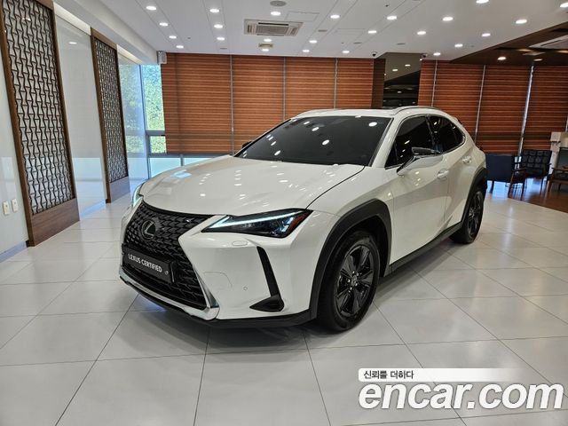Lexus UX300h 2.0 2WD