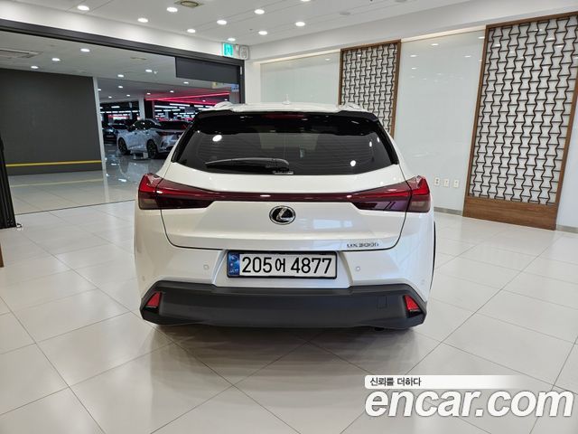 Lexus UX300h 2.0 2WD 2025 — фото 4
