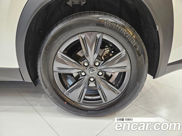 Lexus UX300h 2.0 2WD 2025 — фото 6
