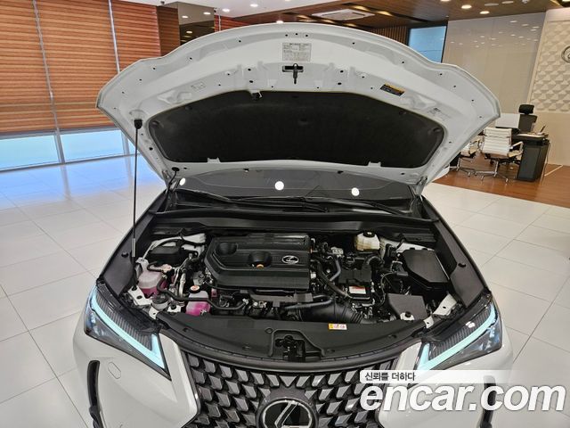 Lexus UX300h 2.0 2WD 2025 — фото 8