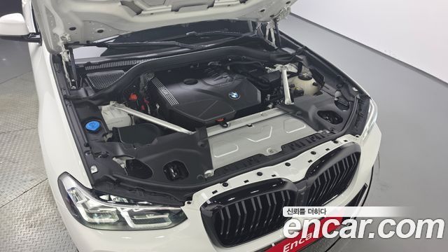 BMW X4 (G02) xDrive20i M Sport 2023 — фото 6