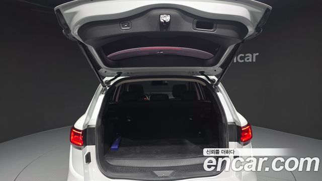 Renault Korea QM6 2.0 LPe RE Signature 2WD 2022 — фото 39