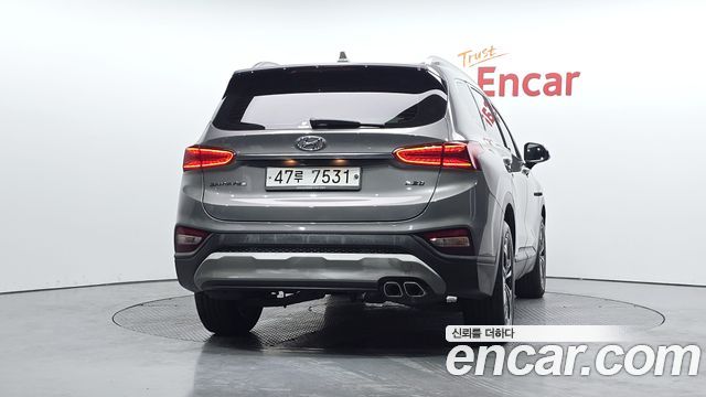 Hyundai Santa Fe (TM) Diesel 2.2 2WD Exclusive 2019 — фото 4