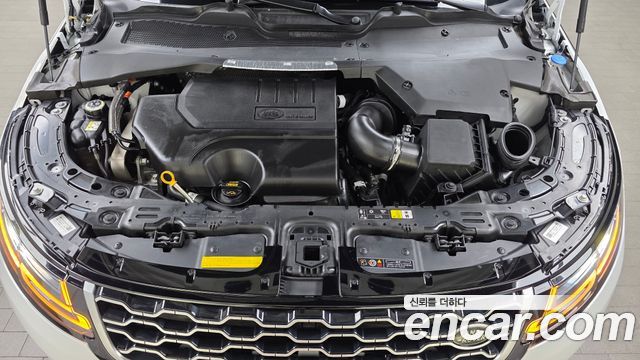 Land Rover Range Rover Evoque (II) P250 SE 2021 — фото 6