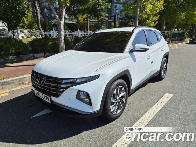 Hyundai Tucson (NX4) Gasoline 1.6 Turbo 2WD Premium