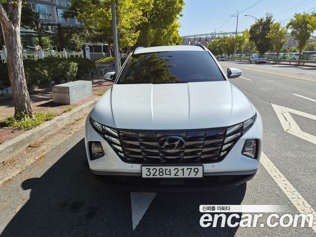 Hyundai Tucson (NX4) Gasoline 1.6 Turbo 2WD Premium 2023 — фото 2