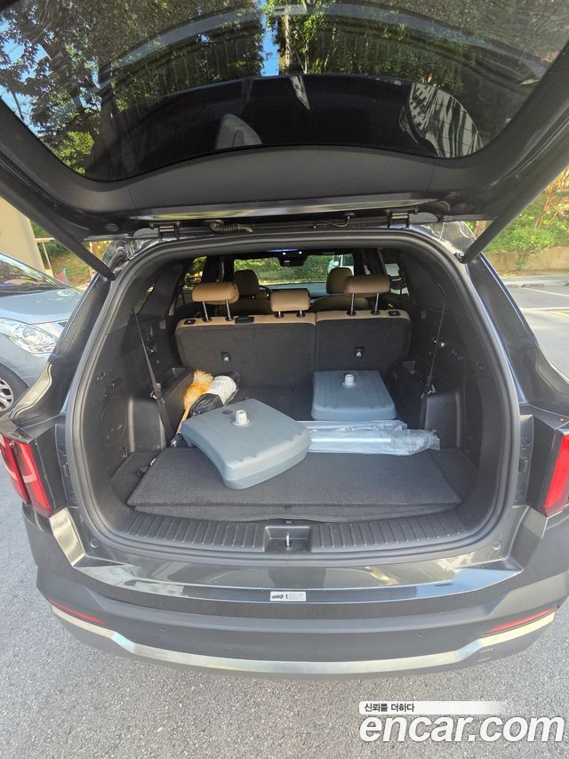 Kia Sorento (IV) HEV 1.6 2WD Noblesse 2024 — фото 9