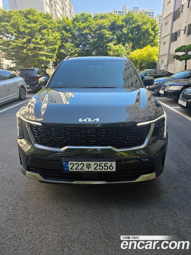 Kia Sorento (IV) HEV 1.6 2WD Noblesse 2024 — фото 12