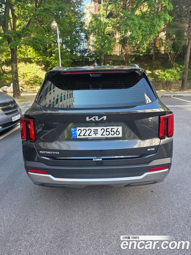 Kia Sorento (IV) HEV 1.6 2WD Noblesse 2024 — фото 13