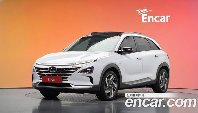 Hyundai Nexo Premium 2020 — фото 1