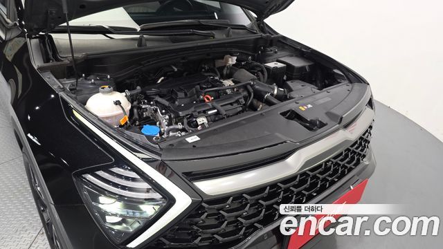 Kia Sportage (V) Gasoline 1.6 Turbo 2WD Signature Gravity 2023 — фото 6