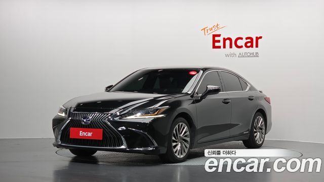 Lexus ES300h (VII) Executive