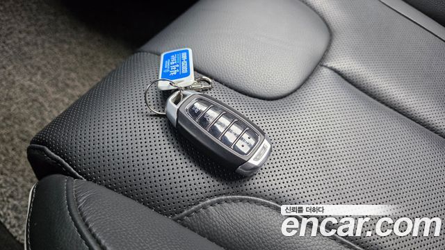 Hyundai Palisade Gasoline 3.8 2WD Prestige 2020 — фото 38