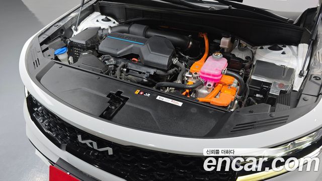 Kia Sorento (IV) HEV 1.6 2WD Gravity 2022 — фото 6