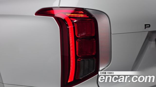 Hyundai Palisade Diesel 2.2 2WD Exclusive 2024 — фото 23