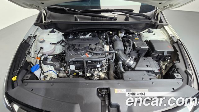 Kia Sportage (V) Gasoline 1.6 Turbo 2WD Noblesse 2026 — фото 6