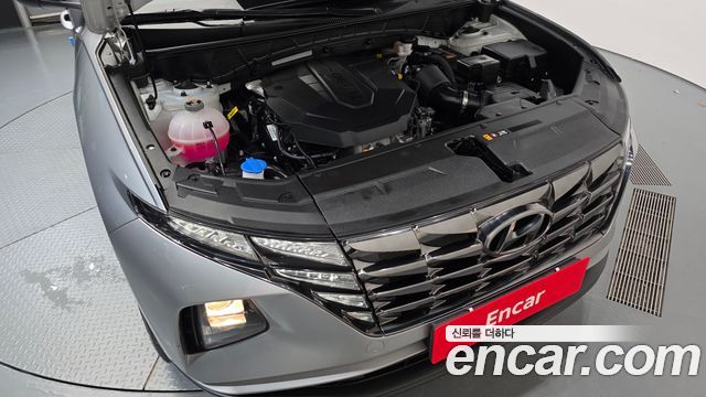 Hyundai Tucson (NX4) Diesel 2.0 2WD Modern 2023 — фото 6