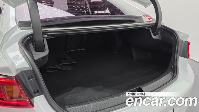 Renault Korea SM6 2.0 LPe LE (Disabled) 2016 — фото 28