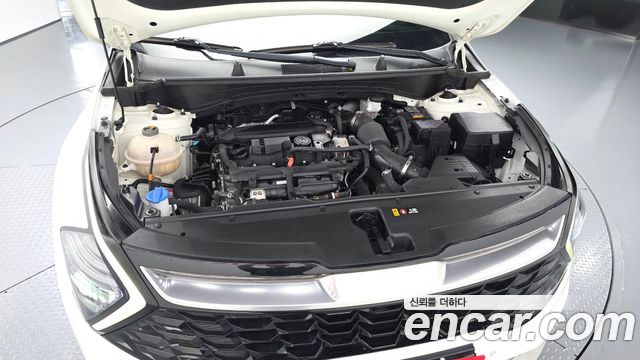 Kia Sportage (V) Gasoline 1.6 Turbo 2WD Signature 2022 — фото 6