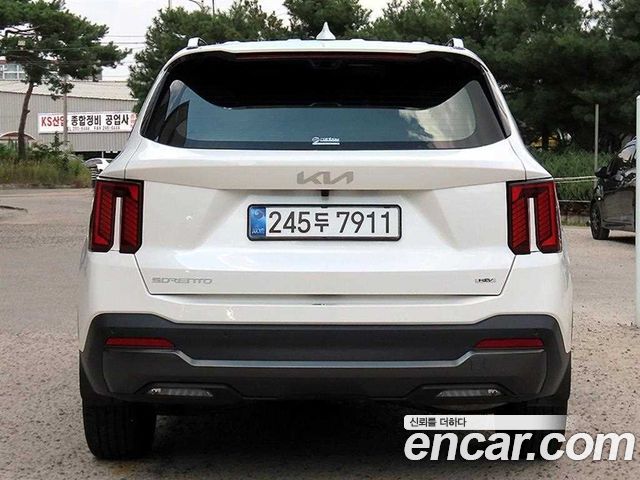 Kia Sorento (IV) HEV 1.6 2WD Gravity 2025 — фото 4