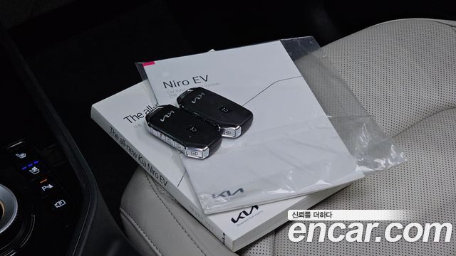 Kia Niro EV Earth 2023 — фото 24
