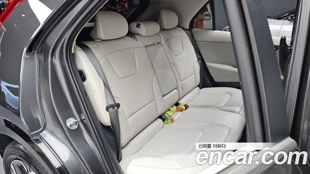 Kia Niro EV Earth 2023 — фото 32