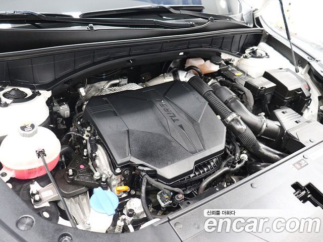 Kia Sorento (IV) Gasoline 2.5T 2WD Noblesse 2024 — фото 6