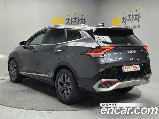 Kia Sportage (V) Gasoline 1.6 Turbo 2WD Nobleless 2024 — фото 5